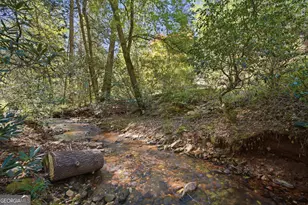 15 Salmon Rd, Blairsville, GA 30512 - Photo 2