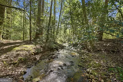 15 Salmon Road, Blairsville, GA 30512 - Photo 38