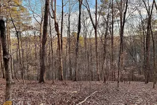 235 Bunratty Ct, Roswell, GA 30076 - Photo 50