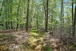 235 Bunratty Ct, Roswell, GA 30076 - Photo 54