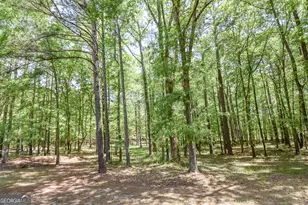 75 Katies Ct, Meansville, GA 30256 - Photo 14