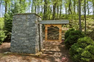 84 Ridge Line Tr, Ellijay, GA 30540 - Photo 60