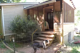 2627 Cole Rd, Carnesville, GA 30521 - Photo 38