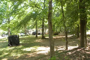 2627 Cole Rd, Carnesville, GA 30521 - Photo 50