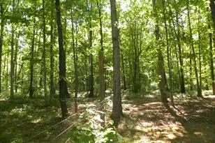 2627 Cole Rd, Carnesville, GA 30521 - Photo 30
