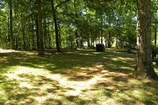 2627 Cole Rd, Carnesville, GA 30521 - Photo 44