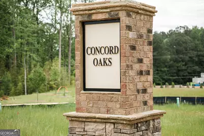 3204 Winding Waters Way, Powder Springs, GA 30127 - Photo 30