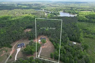 787 Silver Dollar Rd, Milner, GA 30257 - Photo 42