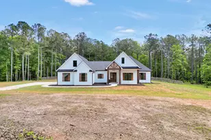 787 Silver Dollar Rd, Milner, GA 30257 - Photo 44