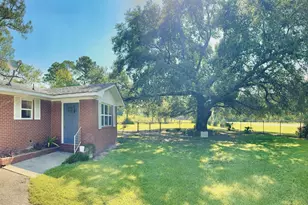 3919 Ga Hwy 152, Cobbtown, GA 30420 - Photo 4