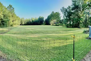 3919 Ga Hwy 152, Cobbtown, GA 30420 - Photo 14