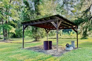 3919 Ga Hwy 152, Cobbtown, GA 30420 - Photo 16