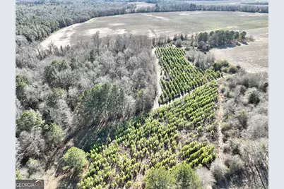 0 Jenkins Farm Road, Byromville, GA 31007 - Photo 18
