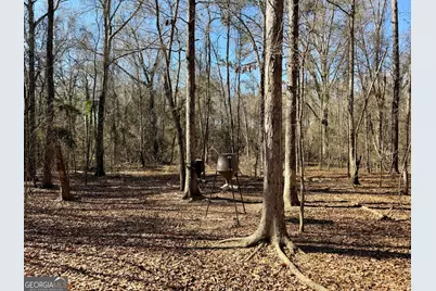 0 Jenkins Farm Road, Byromville, GA 31007 - Photo 6