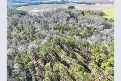 0 Jenkins Farm Road, Byromville, GA 31007 - Photo 10