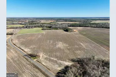 0 Jenkins Farm Road, Byromville, GA 31007 - Photo 12