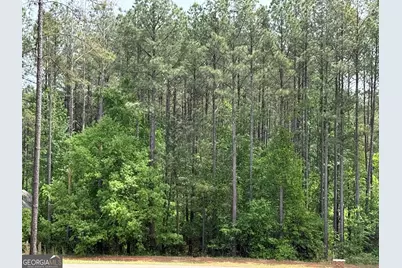 30 Mattie Court, Mansfield, GA 30055 - Photo 4
