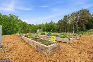 167 Mountain Blvd, Jasper, GA 30143 - Photo 34