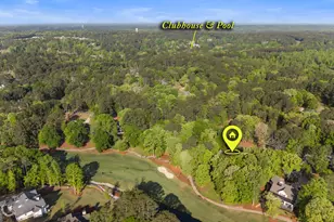 1020 Peachtree Ct, Greensboro, GA 30642 - Photo 70