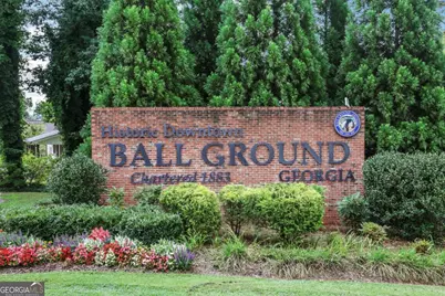 321 Conifer Lane, Ball Ground, GA 30107 - Photo 54