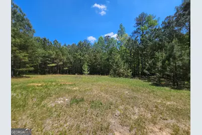 6534 Ga Highway 219, Franklin, GA 30217 - Photo 40