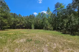 6534 Ga Hwy 219, Franklin, GA 30217 - Photo 40