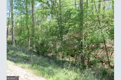 0 Morrison Moore Parkway E, Dahlonega, GA 30533 - Photo 4