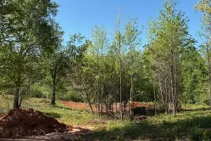 365 Hunts Rdg Dr, Cleveland, GA 30528 - Photo 24
