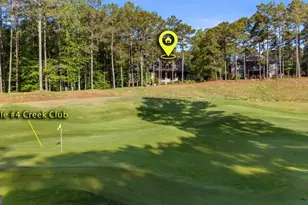 1090 Spring Creek, Greensboro, GA 30642 - Photo 14