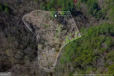 216 Pig Trail, Cherrylog, GA 30522 - Photo 2