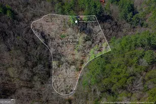 216 Pig Trl, Cherrylog, GA 30522 - Photo 2