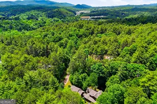 139 Deer Trail, Mineral Bluff, GA 30559 - Photo 54