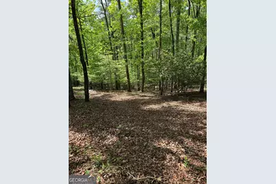 0 Mill Trace Court, Cleveland, GA 30528 - Photo 1