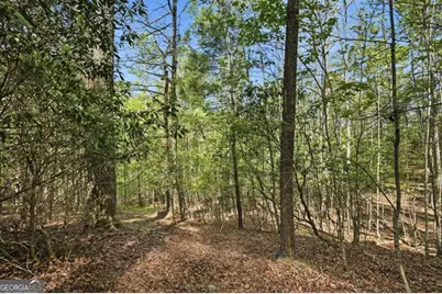0 Mill Trace Court, Cleveland, GA 30528 - Photo 14