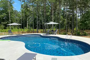 233 Springdale Estates Dr, Senoia, GA 30276 - Photo 8