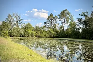 396 Douglas Hwy, Hazlehurst, GA 31539 - Photo 68