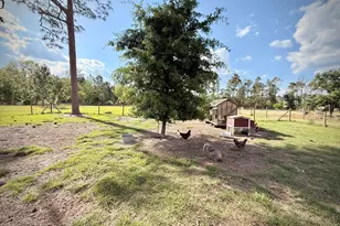 396 Douglas Hwy, Hazlehurst, GA 31539 - Photo 56