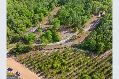 1234 Bennett Road, Screven, GA 31560 - Photo 8