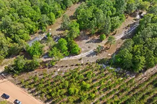 1234 Bennett Rd, Screven, GA 31560 - Photo 8