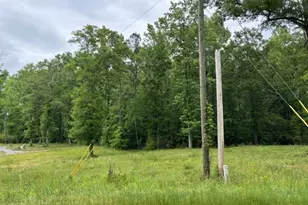 1314 Cheatham Rd, Griffin, GA 30223 - Photo 38