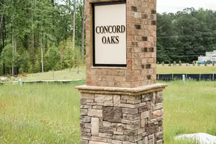 3228 Winding Waters Way, Powder Springs, GA 30127 - Photo 30