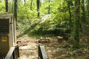 53 Park Vista Dr, Cleveland, GA 30528 - Photo 4