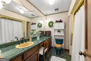 4420 Thompson Bridge Rd, Gainesville, GA 30506 - Photo 26