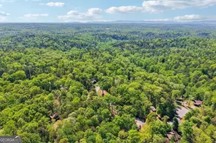 40 Misty Hollow Dr, Dahlonega, GA 30533 - Photo 56