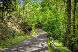180 Down Under Rd, Blue Ridge, GA 30513 - Photo 2