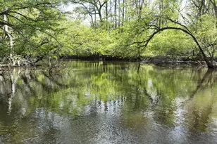 1082 River St, Bartow, GA 30413 - Photo 8