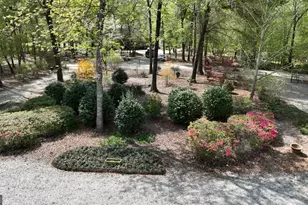 1082 River St, Bartow, GA 30413 - Photo 6