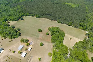 4194 Ivey S Ln, Millen, GA 30442 - Photo 54