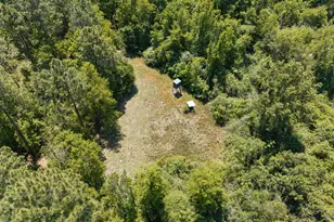 4194 Ivey S Ln, Millen, GA 30442 - Photo 52