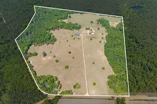 4194 Ivey S Ln, Millen, GA 30442 - Photo 60